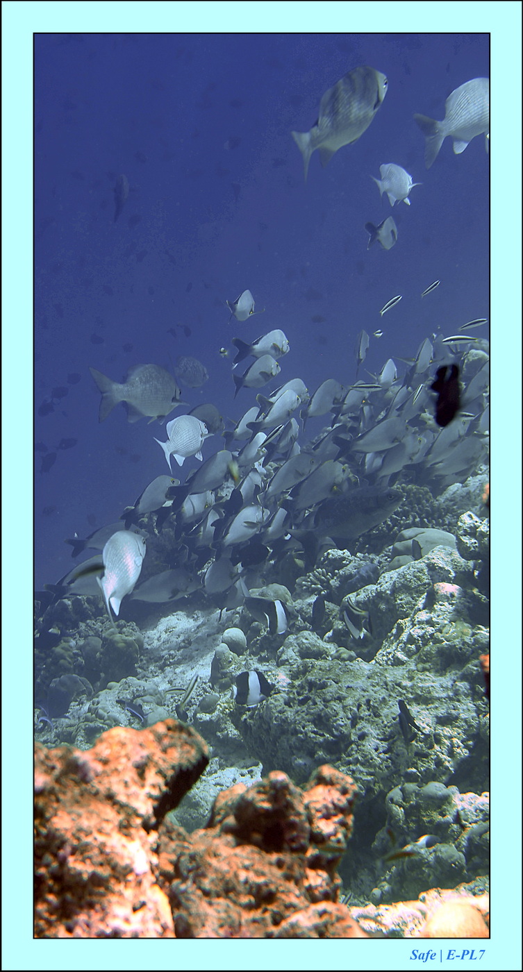 2023 - 07 - Sandies Bathala - 173